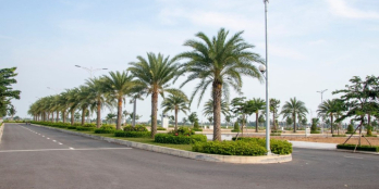 Bán lô đất 81m2 cách chợ Đệm Bình Chánh 5km, mặt tiền đường 16m giá 1,9 tỷ.