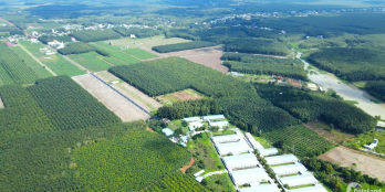 Đi nước ngoài cần BÁN GẤP lô đất thổ cư 200m2