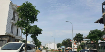 Cắt Lỗ Gần 500 Triệu - Chính Chủ Gởi Bán 70.9m2 Đất Tây Lân. Sổ Hồng Riêng