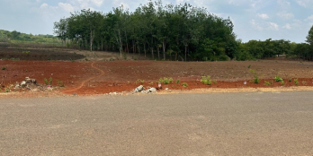 Đất bình phước chính chủ cần bán gấp