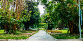 RA MẮT CHUNG CƯ MỚI HOT NHẤT PHÍA ĐÔNG HÀ NỘI GIÁ CHỈ TỪ 2TỶXX