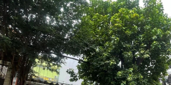 Bán nhà MT đường Số 6, khu Tên Lửa, 6 x 21m, cấp 4, giá 15.5 tỷ. LH 091.139.4242