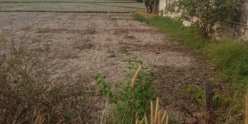 bán miến đất tại lộc phước.lộc hưng, tb.tây ninh