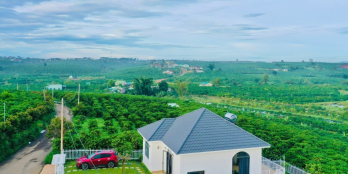 Chỉ còn vài nền giá rẻ tại khu đất view Bảo Lộc. Giá đúng 749 triệu / nền.