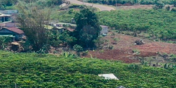 Bán đất nền Bảo Lộc, Ưu đãi hấp dẫn, View đẹp, hạ tầng hoàn thiện, sổ hồng riêng