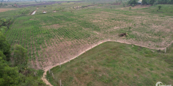 Đất vườn Ninh Xuân Ninh Hòa 4,7ha cách đường nhựa 1km, thích hợp làm farm