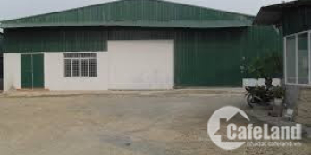 Cho thuê xưởng 500m2 + 800m2 đất, Kim Thành, QL 21B, Huyện Thanh Oai, 30 tr/thg