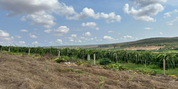 Bán lô đất view Bầu Trắng cách biển 5p