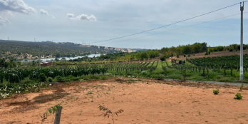 Bán lô đất vườn giá rẻ đầu tư chỉ 70 nghìn /m2