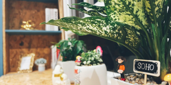 Do chuyển công tác nên cho thuê căn hộ đầy đủ nội thất