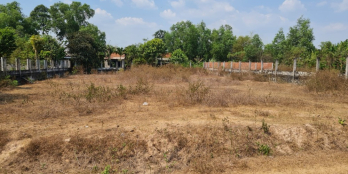 Bán gấp đất nông nghiệp tại ấp Lộc Hòa, xã Lộc Giang, huyện Đức Hòa, tỉnh Long A