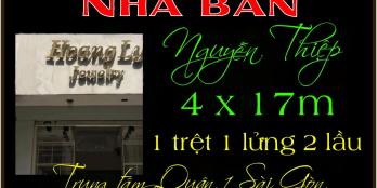 Nhà phố 4 x 17m 1 trệt 3 lầu Nguyễn Thiệp trung tâm tài chính Q1 TP.HCM