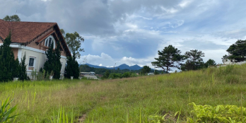 2 Lô Đất Xây Dựng Cạnh Nhau 295m2, 297m2 Đồi Huy Hoàng, P8, Đà Lạt  – Ngọc Anh