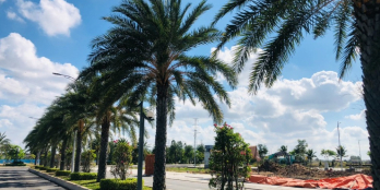 Cần bán đất nền tại dự án King Hill