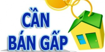 QUỸ ĐẤT PHƯỜNG 12 VŨNG TÀU. CHÍNH CHỦ CẦN  BÁN 50.000m ĐẤT TP VŨNG TÀU