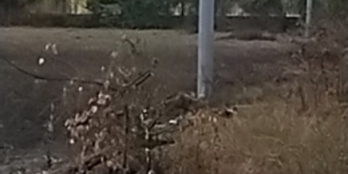 Chính chủ kẹt tiền cần bán gấp lô đất tâm huyết 445m2 giá 1,580 tỷ.