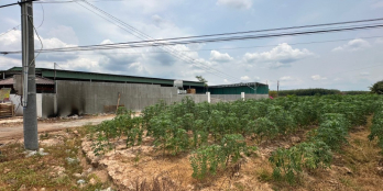 Chính Chủ Bán Nhanh 245m2 Đất Ngay TP Tây Ninh Giá Rẻ 2x triệu