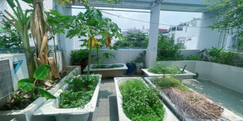 BIỆT THỰ MINI SÂN VƯỜN - 60M2 - 3 LẦU -  NGUYỄN TRUNG TRỰC - TT BÌNH THẠNH