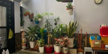 Ngang như bông hậu 5.4m, 99m2x3T, hẻm thông CMT8 Tân Bình, chỉ 12,x tỷ