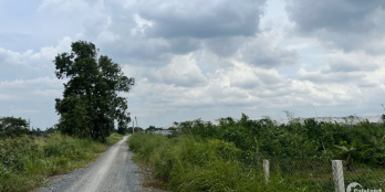 Chính chủ bán đất vườn, mặt tiền Kênh 4, đường Vườn Thơm, xã Bình Lợi, đường tải