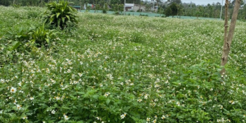 Bán nhanh lô đất gần suối cách QL 20 900m, xung quanh đầy đủ tiện ích dân cư