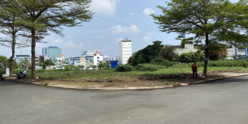 Giỏ hàng 2 nền góc [SHR] - Khu nhà ở và Nghỉ ngơi giải trí Tân Phong SADECO