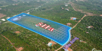 Bán đất vườn sầu riêng ĐăkNông, 5ha 130m mặt đường bê tông, QH thổ cư, giá 7,2 t