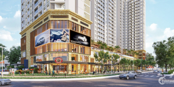 CHUNG CƯ CAO CẤP TP VŨNG TÀU, DỰ ÁN VUNG TAU CENTRE POINT. NHẬN NHÀ QUÝ 2/2025