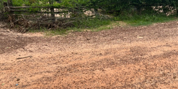 Chủ Cần Bán Gấp Lô Đất 50m2 Thổ Cư, 5x40 250tr/Lô Châu Thành Tây Ninh