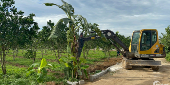 em cần bán đất 195tr tại KHU CÔNG NGHIỆP BẢO HIỆU - YÊN THỦY - HÒA BÌNH