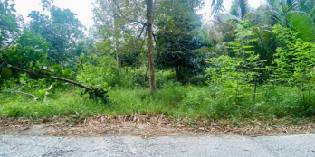 850tr - Nền Đẹp 200m2, Rạch Chuối, Mỹ Khánh, Phong Điền.