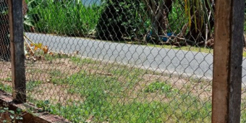 Bán đất mặt tiền đường nhựa xã Thới sơn