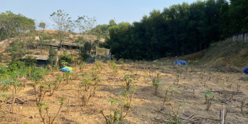 Đất làm nhà xưởng, mặt đường Tỉnh Lộ 413, 30 mét mặt chỉ 166 triệu/mét mặt