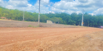 Bán gấp miếng đất chủ gộp tại TP đồng xoài 5x50. 250m2  100m2 thổ cư 580tr