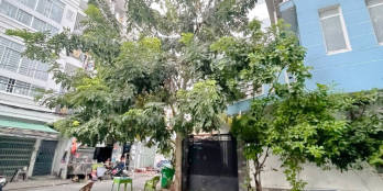 Bán căn góc 1 lầu 2 mặt tiền Đường Số Lý Phục Man Q7