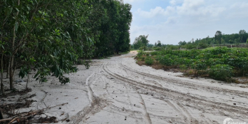 Bán 1 sào đất Lô 2 Lê Đức Thọ, Tân Bình, Thị xã LaGi giá tốt nhất chỉ 500tr