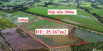 35.167 m2 đất xã Mỹ Thạnh Đông, Đức Huệ, Long An giá rẻ...