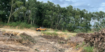 Bán 2 sào đất Tân Bình - TX LaGi sổ hồng riêng chỉ 400tr/ sào đường xe hơi