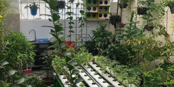 CĂN HỘ SÂN VƯỜN TẠI TẦNG 21 C/C TECCO TOWN Q. BÌNH TÂN.