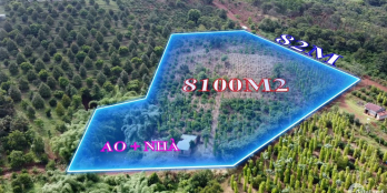 Bán đất rẫy Trường Xuân, ĐăkSong, 8100m2, 82m đường lớn, Nhà, ao to, giá 1 tỷ
