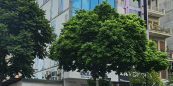 Siêu Phẩm phố Giang Văn Minh. 83m*9t+hầm, mt 6m, 68 Tỷ. Vị trí đắc địa, KDoanh