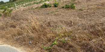 Bán 3568m2 đất MT Mai Thúc Loan - Tân Hải - TX LaGi GIẢM GIÁ 40%