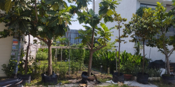 Cần Bán Lô Đất Thạnh Xuân 22 Quận 12 TPHCM