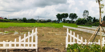 BÁN ĐẤT TẶNG XE GẦN CHỢ MỸ HẠNH NAM ĐỨC HÒA BAO NỀN SẴN GIÁ MỀM