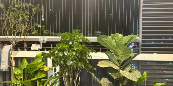 Cần bán chung cư 35 Lê Văn Lương - chủ mót, giá tốt nhất khu vực