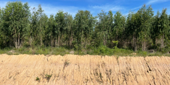 Bán 5700m2 đất Tân Xuân, Huyện Hàm Tân giá tốt nhất 180tr/ 1000m2 Cách KDC 2Km