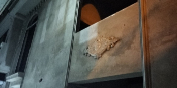 Định Công - lô góc - CCMN mới tinh kết hợp văn phòng 7 tầng, 54m2 nhỉnh 10 tỷ