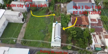 Nhà vườn Đức Hòa Đông tổng DT255m2 (6x42,5) có nhà 1 lầu 1 trệt vườn đẹp