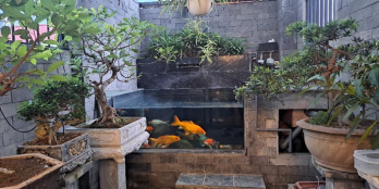 Hiếm: Phùng Chí Kiên - phân lô - ô tô đỗ vào nhà - 7 tầng TM - 80m - 15.9 tỷ