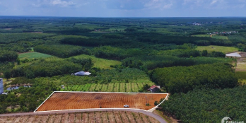 ĐẤT NỀN THỔ CƯ MẶT TIỀN ĐƯỜNG NHỰA - ĐỐI DIỆN KHU CÔNG NGHIỆP GIÁ DƯỚI 500 TRIỆU